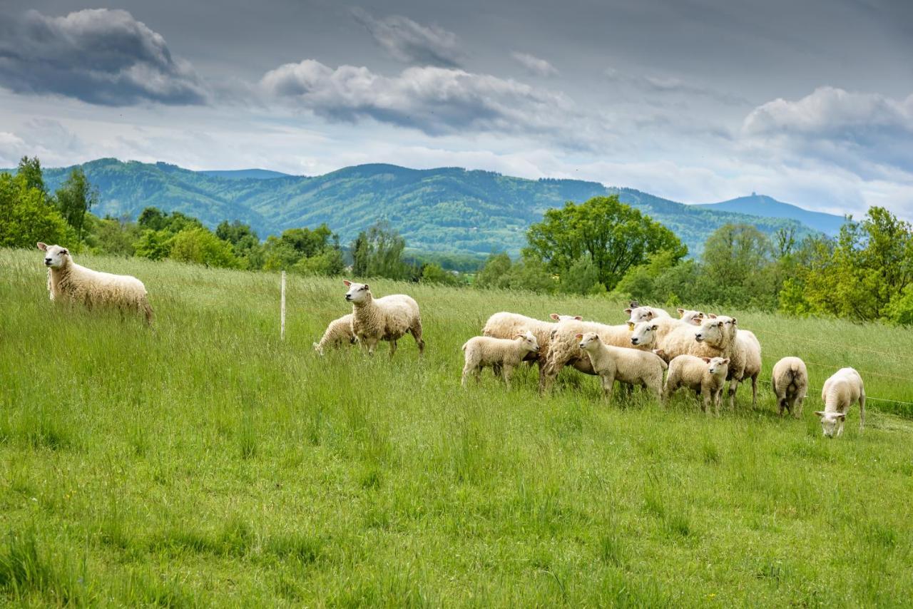 Вилла Agroturistika - "Domecek U Ovecek" Горни-Терлицко Экстерьер фото