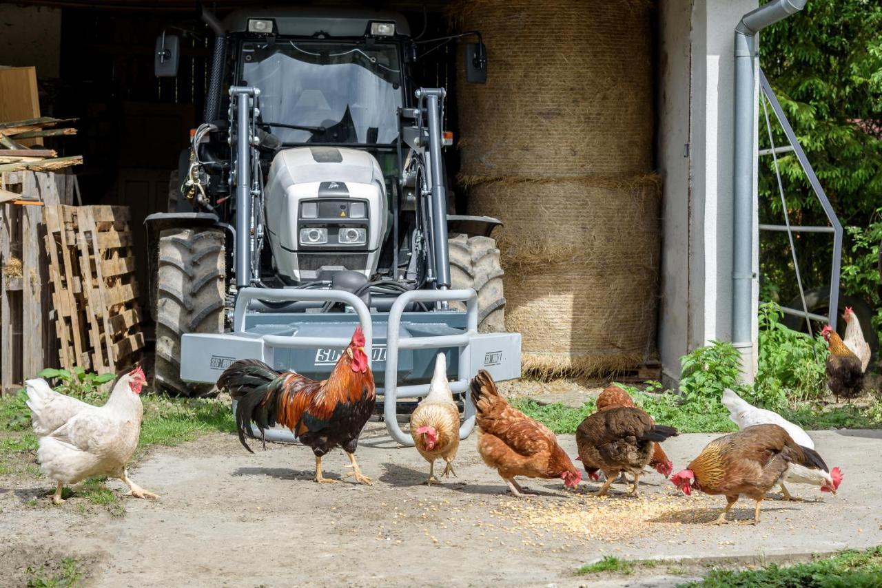 Вилла Agroturistika - "Domecek U Ovecek" Горни-Терлицко Экстерьер фото